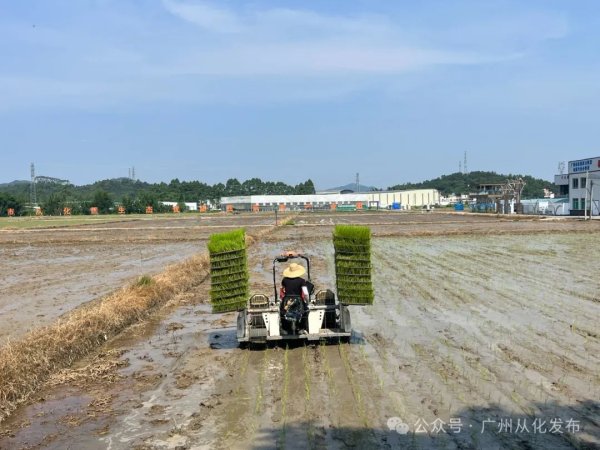 万博手机官网登录东吴期货计划所周度不雅点汇总0408-万博max体育官网(官方)网站/网页版登录入口/手机APP