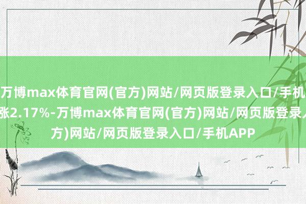 万博max体育官网(官方)网站/网页版登录入口/手机APP 近1年高涨2.17%-万博max体育官网(官方)网站/网页版登录入口/手机APP