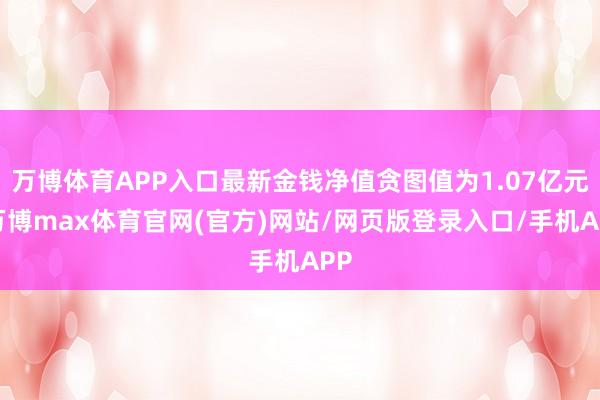 万博体育APP入口最新金钱净值贪图值为1.07亿元-万博max体育官网(官方)网站/网页版登录入口/手机APP